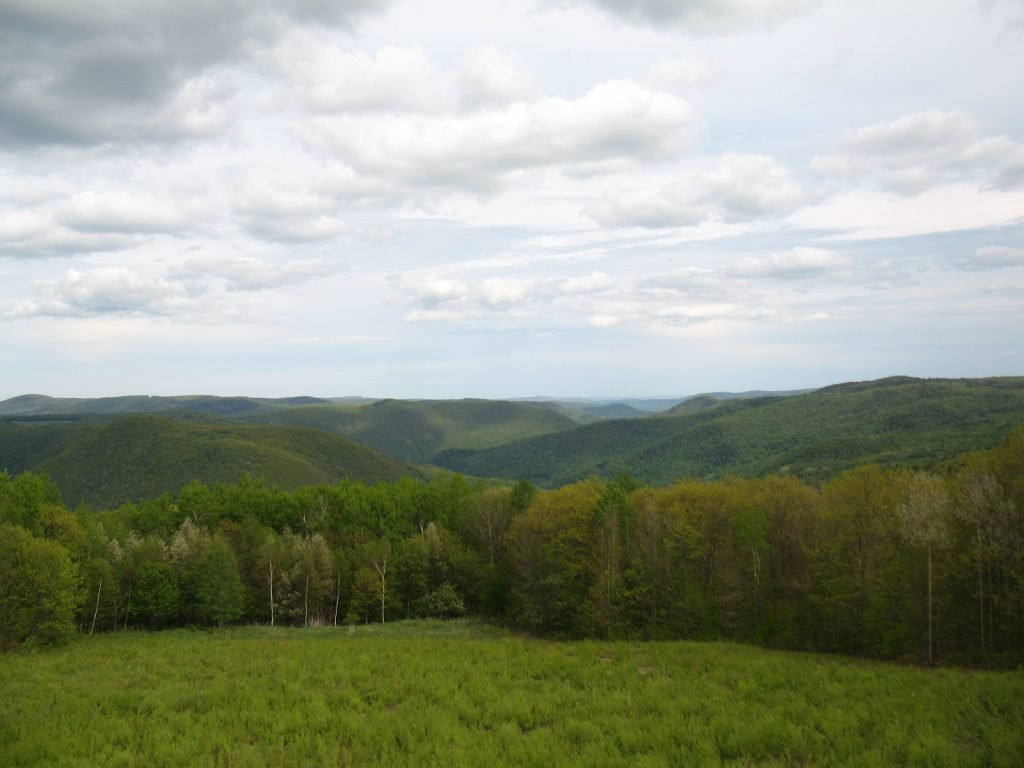 Western_MA__Berkshires_near_North_Adams